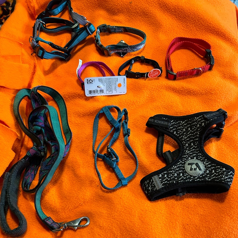 Small dog leash’s/harness